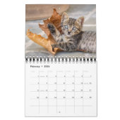Niedliche und lustige Kittens Cat Foto — Kalender (Feb 2026)