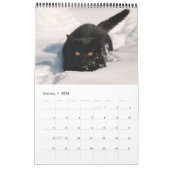 Niedliche und lustige Kittens Cat Foto Kalender (Jan 2026)