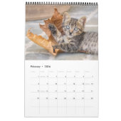 Niedliche und lustige Kittens Cat Foto Kalender (Feb 2026)