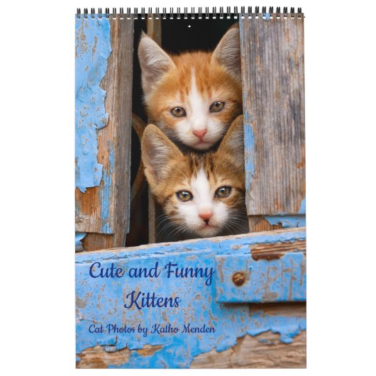 Niedliche und lustige Kittens Cat Foto Kalender (Titelbild)