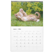 Niedliche und lustige Kittens Cat Foto Kalender (Mär 2026)