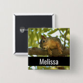 Niedliche und merkwürdige Eichhörnchenfotografie Button (Vorne & Hinten)