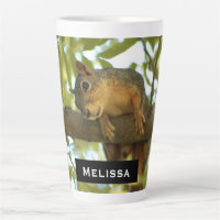 Niedliche und merkwürdige Eichhörnchenfotografie