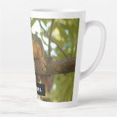 Niedliche und merkwürdige Eichhörnchenfotografie Milchtasse (Rechts)