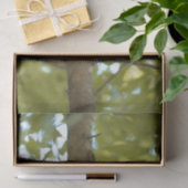 Niedliche und merkwürdige Eichhörnchenfotografie Seidenpapier (Geschenk)