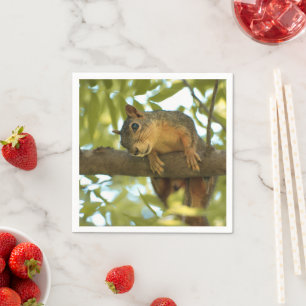 Niedliche und merkwürdige Eichhörnchenfotografie Serviette