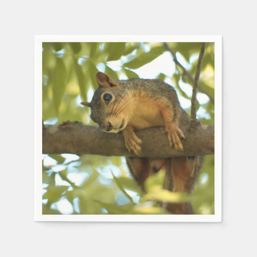 Niedliche und merkwürdige Eichhörnchenfotografie Serviette (Vorderseite)