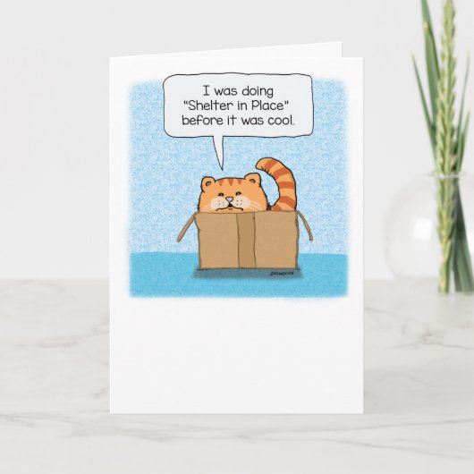 Niedliche und sonnige Unterkunft am Platz Katze Karte (Vorderseite)