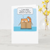 Niedliche und sonnige Unterkunft am Platz Katze Karte (Gelbe Blume)