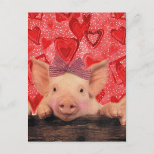 Niedliche Valentineschweine Feiertagspostkarte