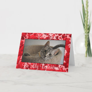 Niedliche Valentintagskarte (Tierrettung) Feiertagskarte