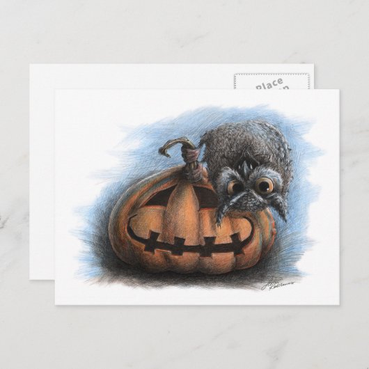 Niedliche Vampirschale auf Kürbiskahn - Halloween- Postkarte (Vorne/Hinten)