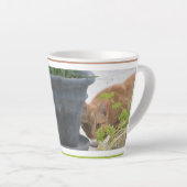 Niedliche Versteckung der Roten Katze Latte-Tasse Milchtasse (Rechte Ecke)