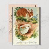 Niedliche Vintag Osterhasen Postkarte (Vorne/Hinten)