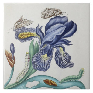 niedliche Vintage Blume und Insektenziegel Keramik Fliese