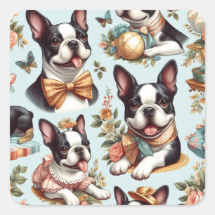 Niedliche Vintage Boston Terrier Illustration Quadratischer Aufkleber