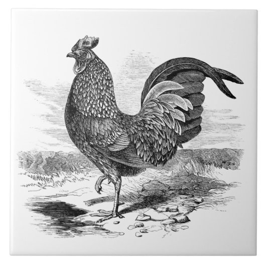 Niedliche Vintage Dachziegel Fliese (Vorderseite)