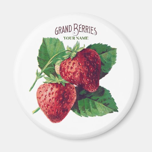 Niedliche Vintage Erdbeere Berry Frucht Fügen Sie Magnet (Vorne)