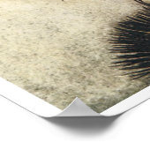 Niedliche Vintage Fee Poster (Ecke)