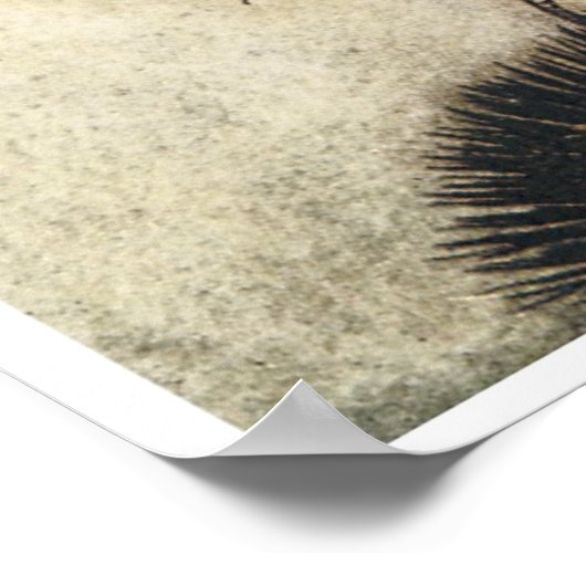 Niedliche Vintage Fee Poster (Ecke)