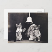 Niedliche Vintage Funny Kitten Couple Wedding Zere Postkarte (Vorne/Hinten)