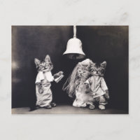 Niedliche Vintage Funny Kitten Couple Wedding Zere