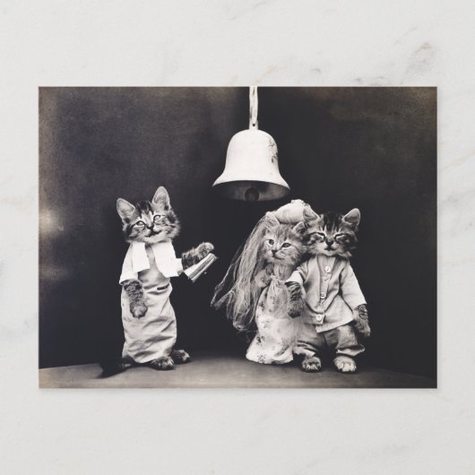Niedliche Vintage Funny Kitten Couple Wedding Zere Postkarte (Vorderseite)