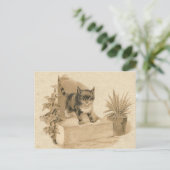 Niedliche Vintage Katze Zeichnend antike französis Postkarte (Stehend Vorderseite)