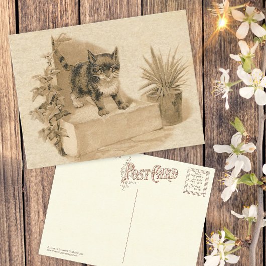 Niedliche Vintage Katze Zeichnend antike französis Postkarte
