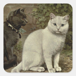 niedliche Vintage Katzenliebhaber Square Sticker