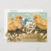Niedliche Vintage Küken und Ostereier Postkarte (Vorne/Hinten)