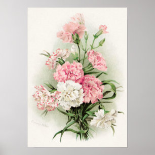 Niedliche Vintage Nelken Wohngestaltung Poster