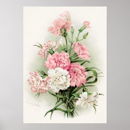 Niedliche Vintage Nelken Wohngestaltung Poster (Vorne)