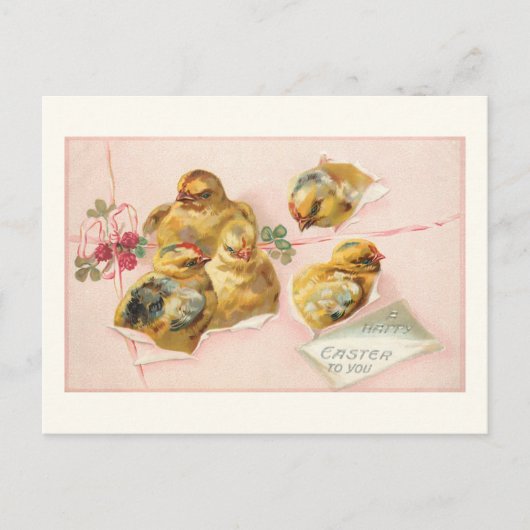 Niedliche Vintage Osterküken in Packung Postkarte (Vorderseite)