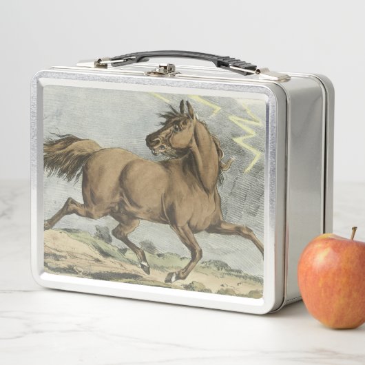 niedliche Vintage Pferdefreunde Metall Brotdose (Beispiel)