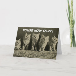 Niedliche Vintage Retro Kittens Happy Birthday Karte