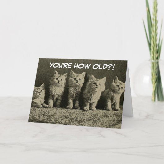 Niedliche Vintage Retro Kittens Happy Birthday Karte (Vorderseite)
