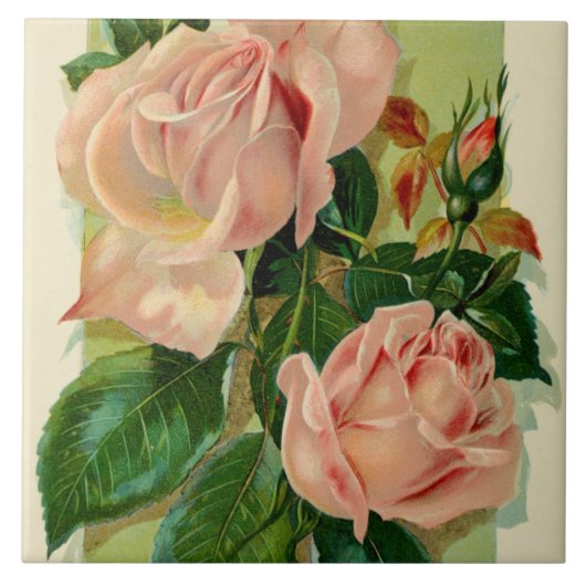 niedliche Vintage Rose Dekoration Fliese (Vorderseite)