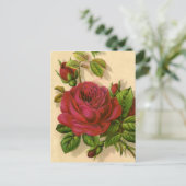niedliche Vintage Rose Postkarte (Stehend Vorderseite)