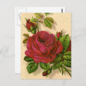 niedliche Vintage Rose Postkarte (Vorne/Hinten)