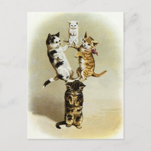 Niedliche Vintage Viktorianische Katzen Kätzchen s Postkarte (Vorderseite)