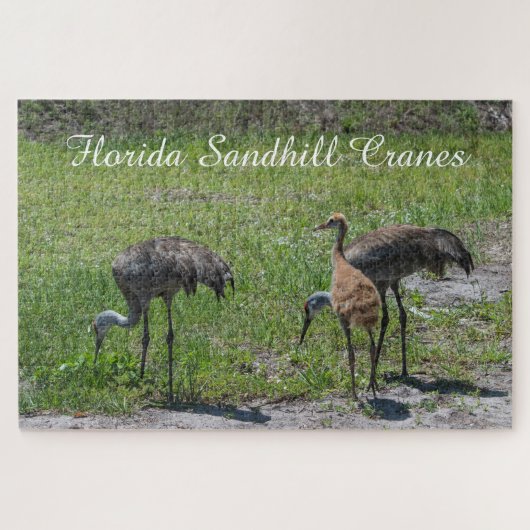 Niedliche Vögel Florida Sandhill Krane Landschaftl Puzzle (Horizontal)
