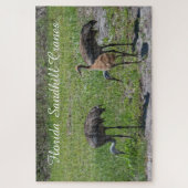 Niedliche Vögel Florida Sandhill Krane Landschaftl Puzzle (Vertikal)