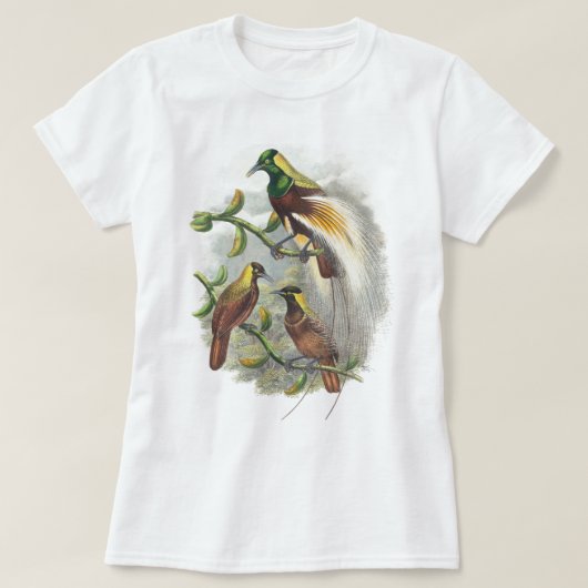 Niedliche Vögel - Hemden T-Shirt (Design vorne)