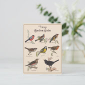 Niedliche Vögel im Vintagen Garten Postkarte (Stehend Vorderseite)