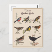 Niedliche Vögel im Vintagen Garten Postkarte (Vorne/Hinten)