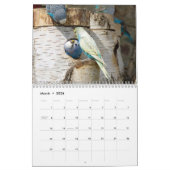 Niedliche Vögel - Schnappschüsse der kleinen Vögel Kalender (Mär 2026)
