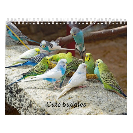 Niedliche Vögel - Schnappschüsse der kleinen Vögel Kalender (Titelbild)