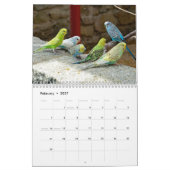 Niedliche Vögel - Schnappschüsse der kleinen Vögel Kalender (Feb 2027)