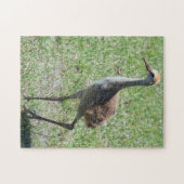 Niedliche Vogelwelt Florida Puzzle (Horizontal)